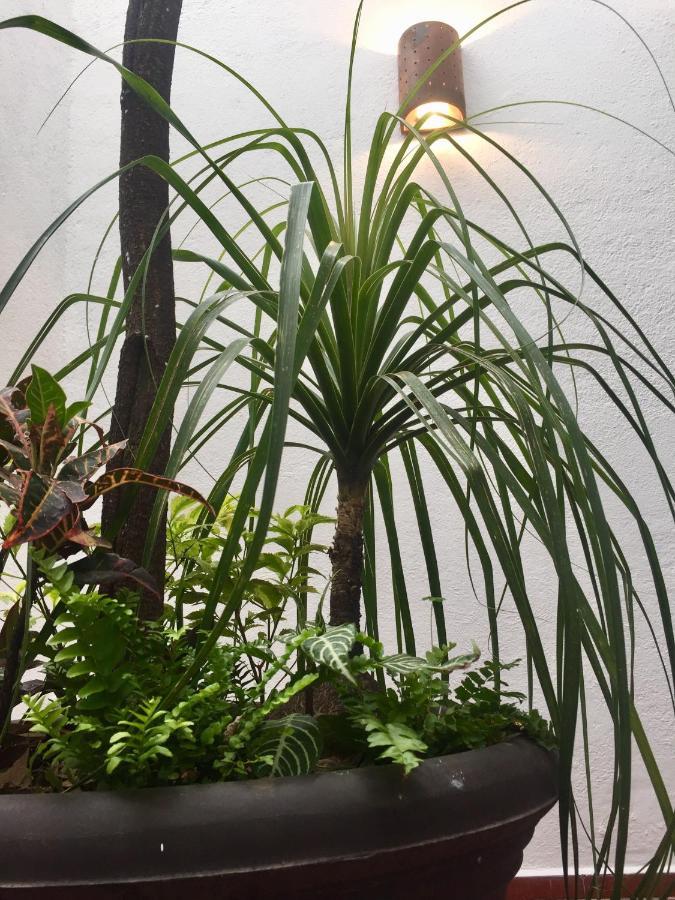 Residence Las Trojes Cdmx เม็กซิโกซิตี้ ภายนอก รูปภาพ